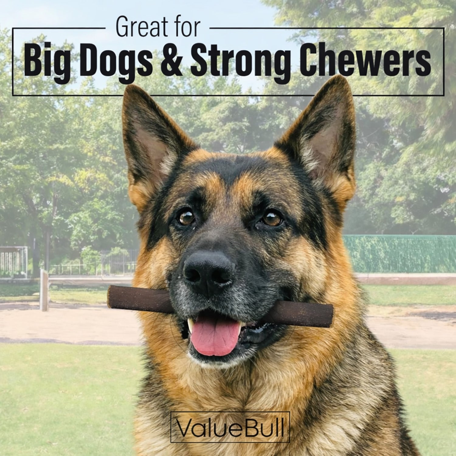 ValueBull Buffalo Collagen Sticks for Dogs, 6 Inch Thick Chews, Natural Long-Lasting Dog Treats, 10 Count