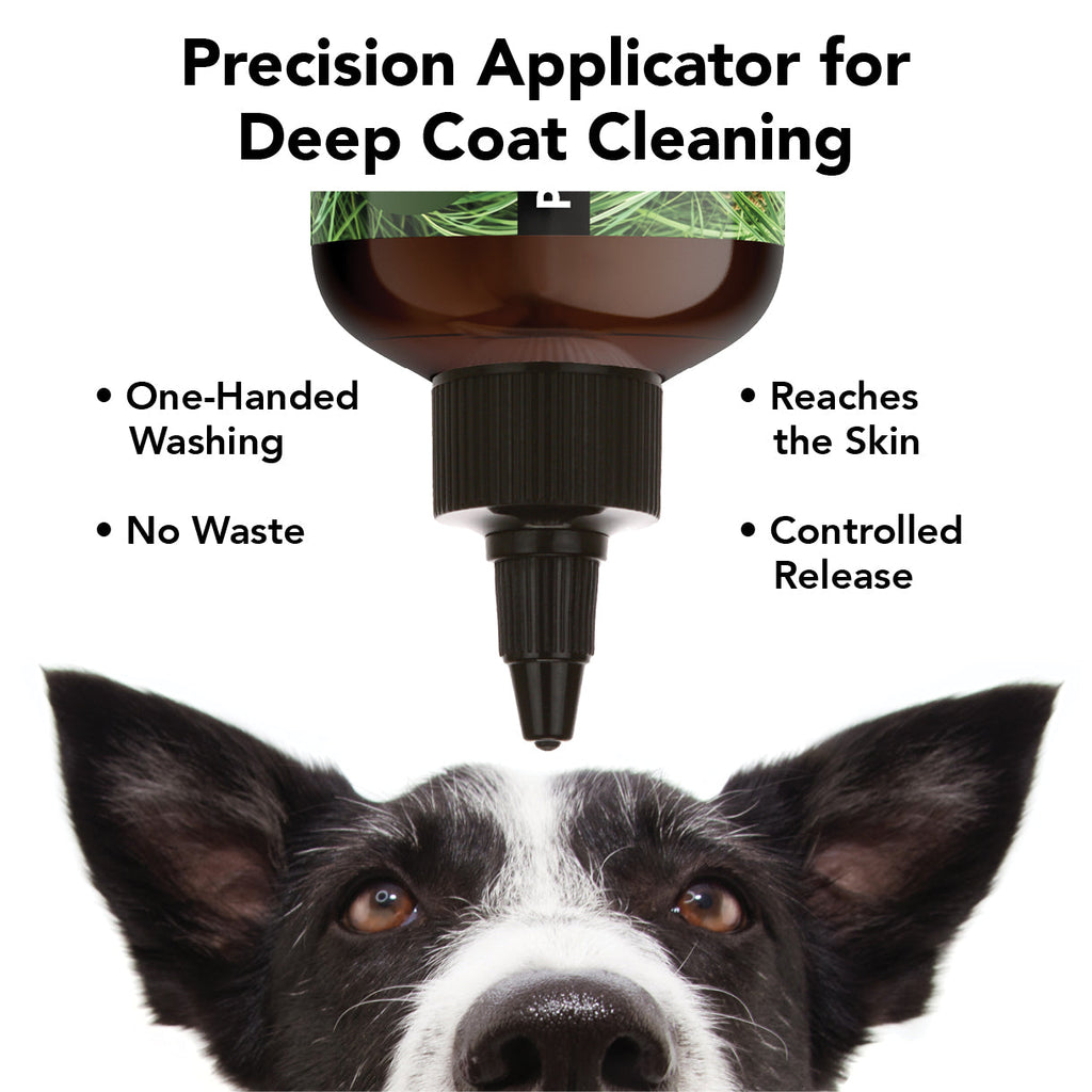 FLEA + TICK SHAMPOO