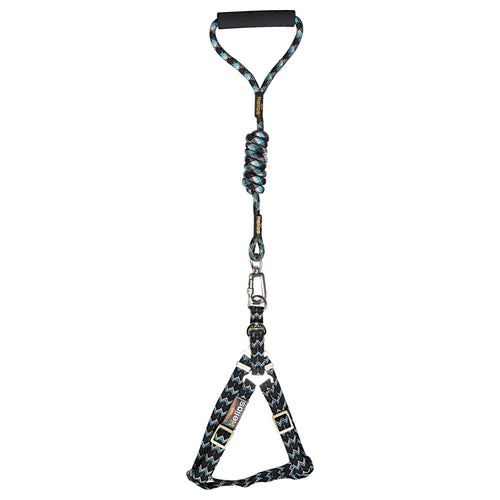 Dog Helios Surfside Designer Leash and Harness