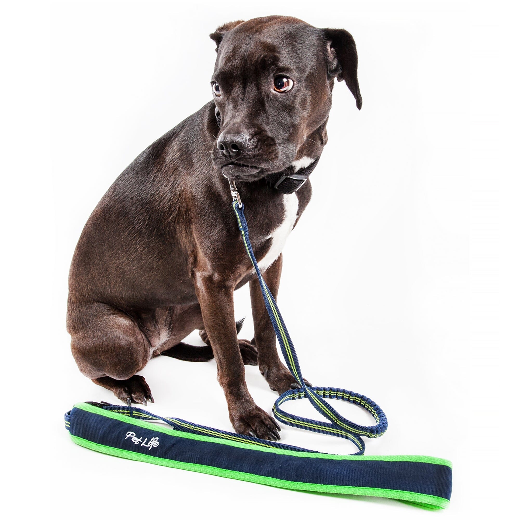 Pet Life ®  'Free-Fetcher' Hands Free Over-The-Shoulder Shock Absorbent Dog Leash