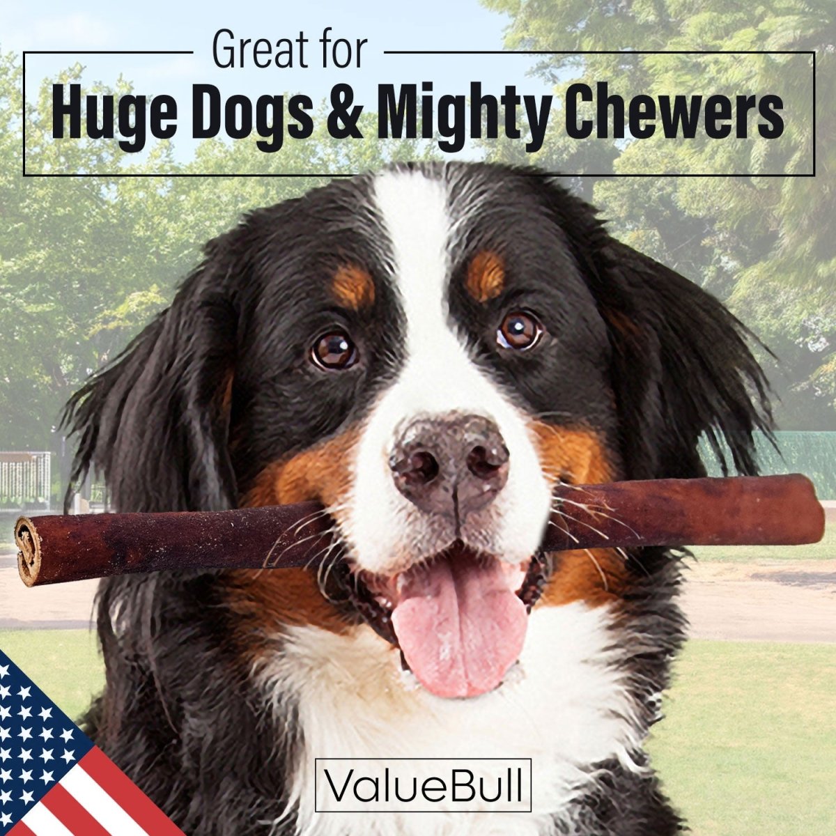 ValueBull USA Collagen Sticks for Dogs, 12 Inch Super Jumbo Chews, Natural Long-Lasting Dog Treats, 10 Count