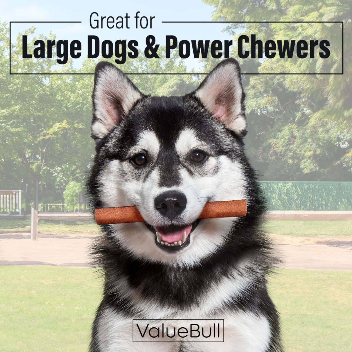 ValueBull Collagen Sticks for Dogs, 6 Inch Jumbo Chews, Natural Long-Lasting Dog Treats, 25 Count